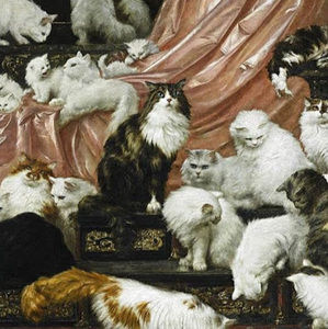 Meet your Posher, Cameo j